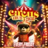 Circus Show Toy Room Malta: live performers, acrobatics and a theatrical club experience.