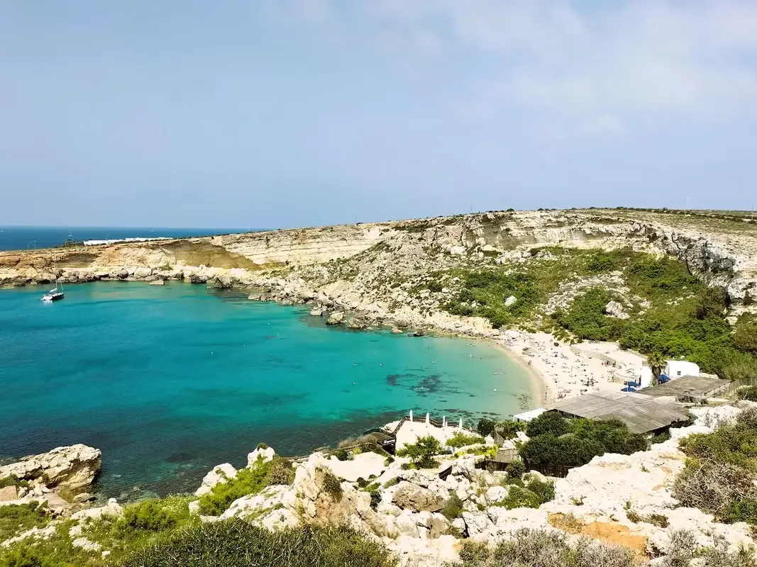 vista panoramica Paradise Bay Malta cala turchese spiaggia vegetazione mediterranea