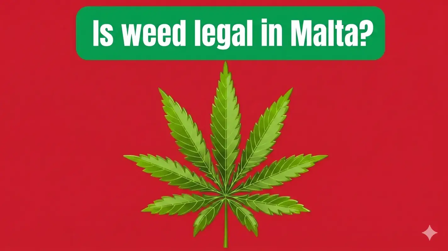 Grafica di una foglia di cannabis verde su sfondo rosso con la scritta in inglese Is weed legal in Malta